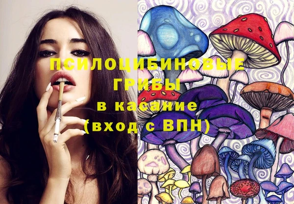 дурь Алексеевка
