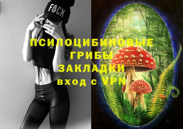 дурь Алексеевка