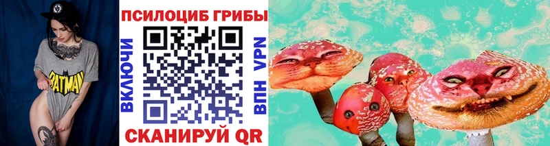 Галлюциногенные грибы Psilocybe  где купить наркотик  Брянск 