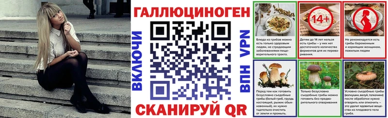 Галлюциногенные грибы Magic Shrooms Брянск
